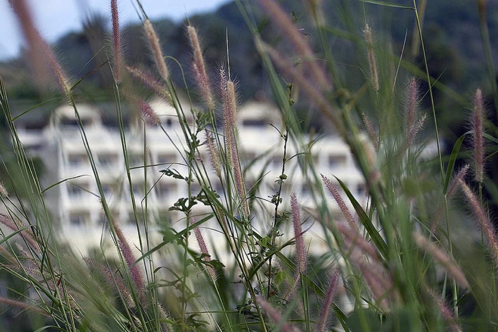 Eden Resort Karon Kültér fotó